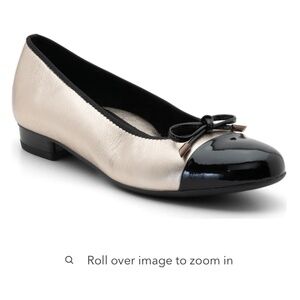 Italian Ballet Flat (7.5/platinum & black) EUC with box